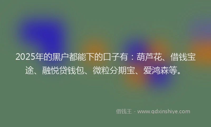 2025年的黑户都能下的口子有：葫芦花、借钱宝途、融悦贷钱包、微粒分期宝、爱鸿森等。
