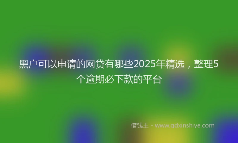 黑户可以申请的网贷有哪些2025年精选，整理5个逾期必下款的平台
