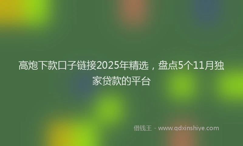 高炮下款口子链接2025年精选，盘点5个11月独家贷款的平台