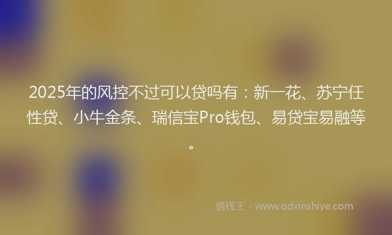 2025年的风控不过可以贷吗有：新一花、苏宁任性贷、小牛金条、瑞信宝Pro钱包、易贷宝易融等。