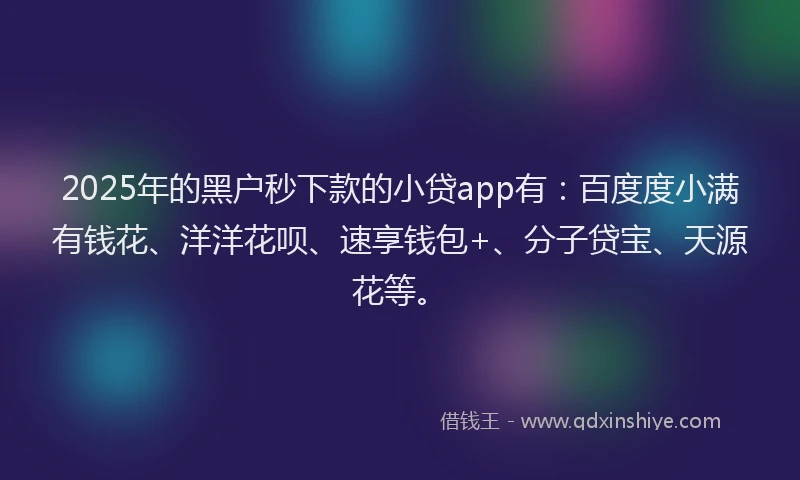 2025年的黑户秒下款的小贷app有：百度度小满有钱花、洋洋花呗、速享钱包+、分子贷宝、天源花等。