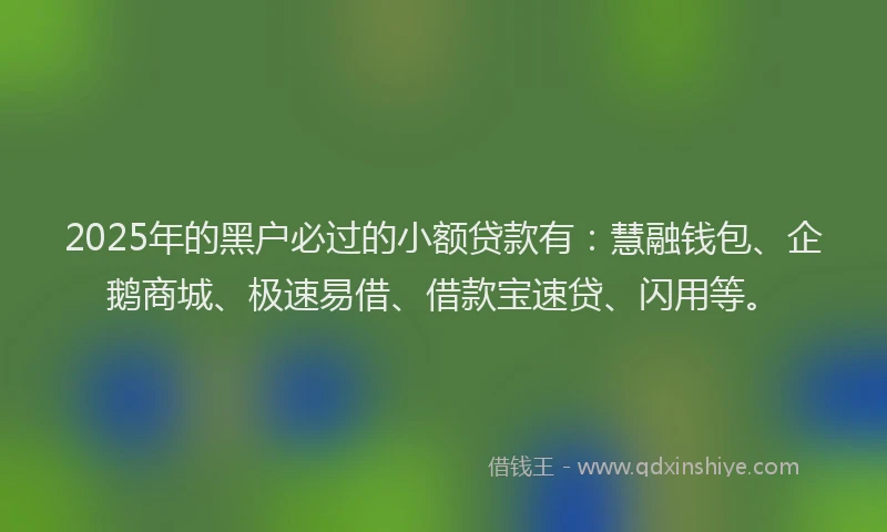 2025年的黑户必过的小额贷款有：慧融钱包、企鹅商城、极速易借、借款宝速贷、闪用等。