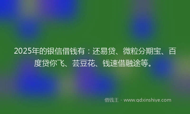 2025年的银信借钱有：还易贷、微粒分期宝、百度贷你飞、芸豆花、钱速借融途等。