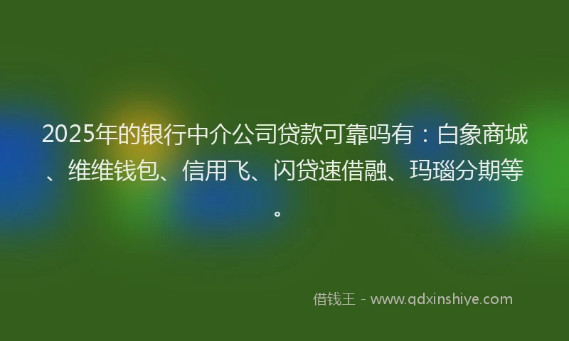 2025年的银行中介公司贷款可靠吗有：白象商城、维维钱包、信用飞、闪贷速借融、玛瑙分期等。