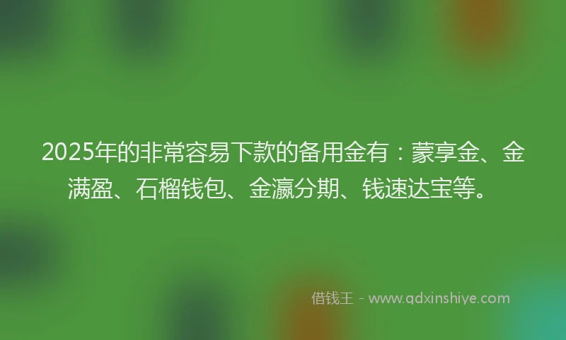 2025年的非常容易下款的备用金有：蒙享金、金满盈、石榴钱包、金瀛分期、钱速达宝等。