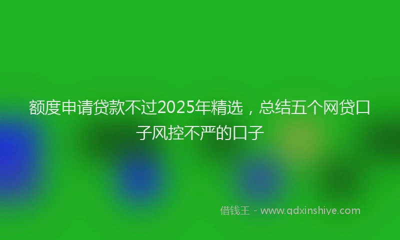 额度申请贷款不过2025年精选，总结五个网贷口子风控不严的口子