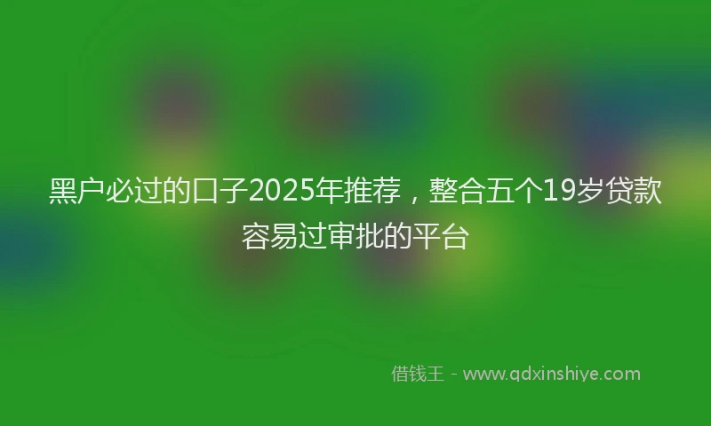 黑户必过的口子2025年推荐，整合五个19岁贷款容易过审批的平台