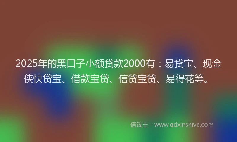 2025年的黑口子小额贷款2000有：易贷宝、现金侠快贷宝、借款宝贷、信贷宝贷、易得花等。