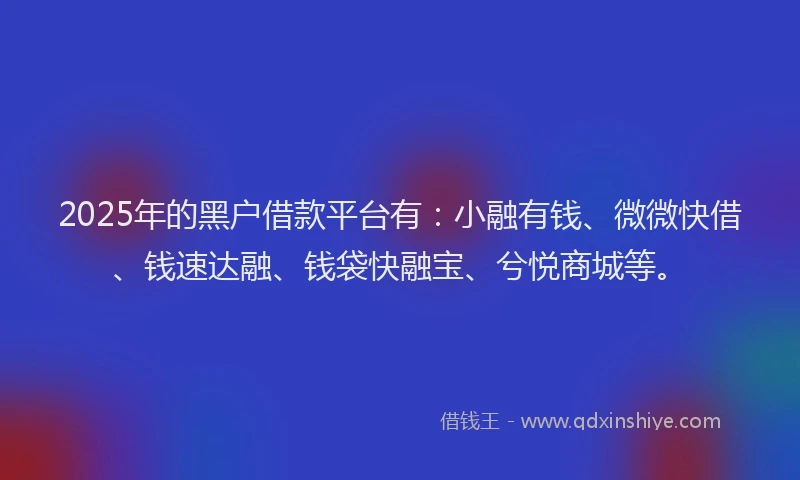 2025年的黑户借款平台有：小融有钱、微微快借、钱速达融、钱袋快融宝、兮悦商城等。