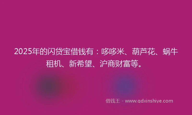 2025年的闪贷宝借钱有：哆哆米、葫芦花、蜗牛租机、新希望、沪商财富等。