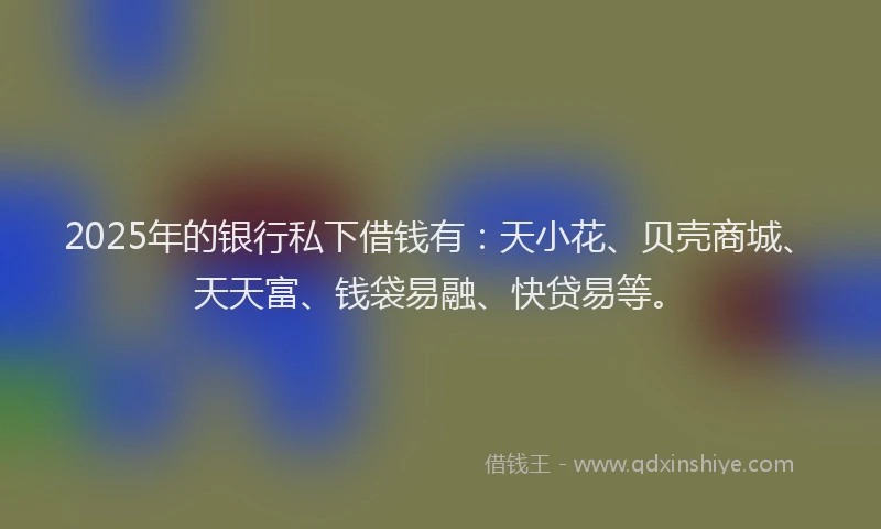 2025年的银行私下借钱有：天小花、贝壳商城、天天富、钱袋易融、快贷易等。