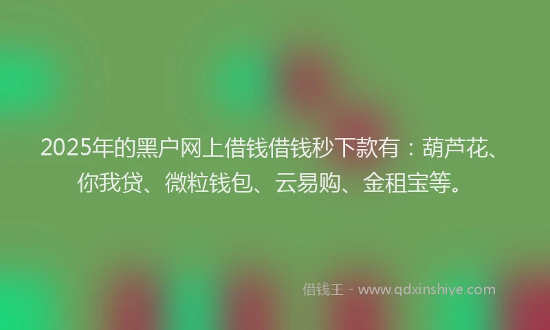 2025年的黑户网上借钱借钱秒下款有：葫芦花、你我贷、微粒钱包、云易购、金租宝等。
