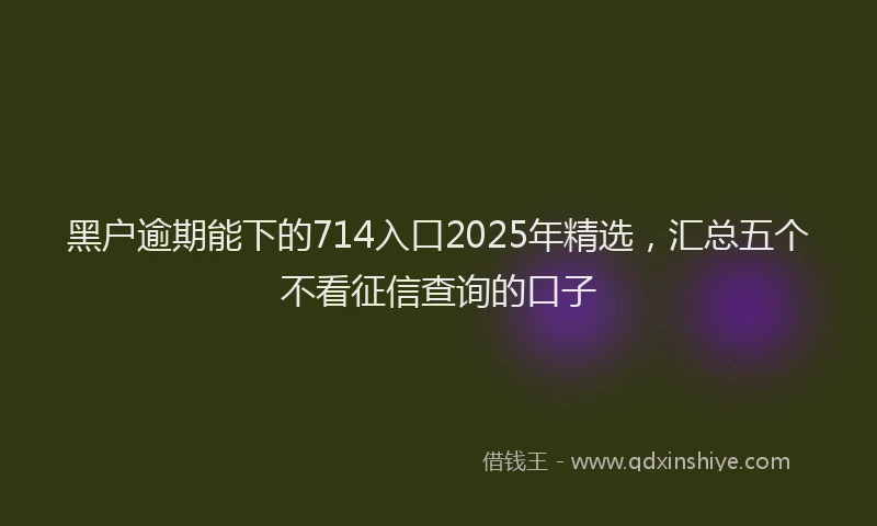 黑户逾期能下的714入口2025年精选，汇总五个不看征信查询的口子