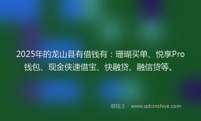 2025年的龙山县有借钱有：珊瑚买单、悦享Pro钱包、现金侠速借宝、快融贷、融信贷等。