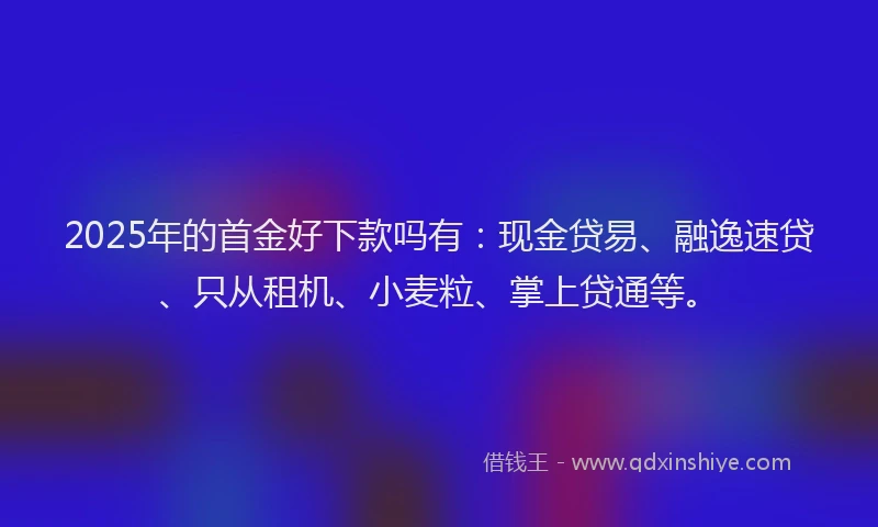 2025年的首金好下款吗有：现金贷易、融逸速贷、只从租机、小麦粒、掌上贷通等。