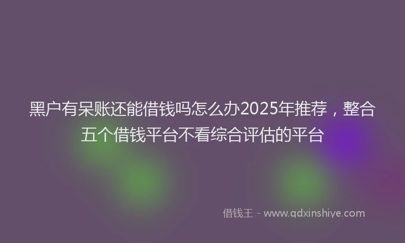 黑户有呆账还能借钱吗怎么办2025年推荐，整合五个借钱平台不看综合评估的平台