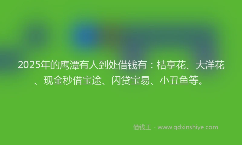 2025年的鹰潭有人到处借钱有：桔享花、大洋花、现金秒借宝途、闪贷宝易、小丑鱼等。