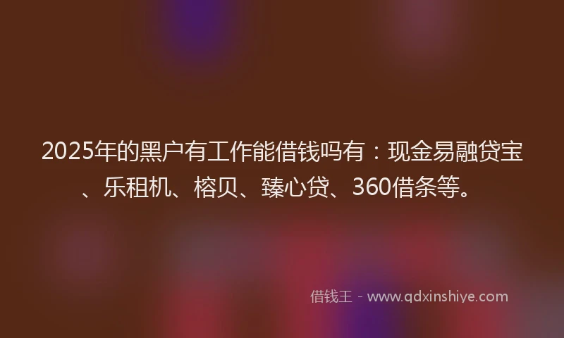 2025年的黑户有工作能借钱吗有：现金易融贷宝、乐租机、榕贝、臻心贷、360借条等。