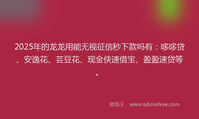 2025年的龙龙用能无视征信秒下款吗有：哆哆贷、安逸花、芸豆花、现金侠速借宝、盈盈速贷等。