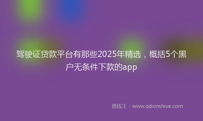 驾驶证贷款平台有那些2025年精选，概括5个黑户无条件下款的app
