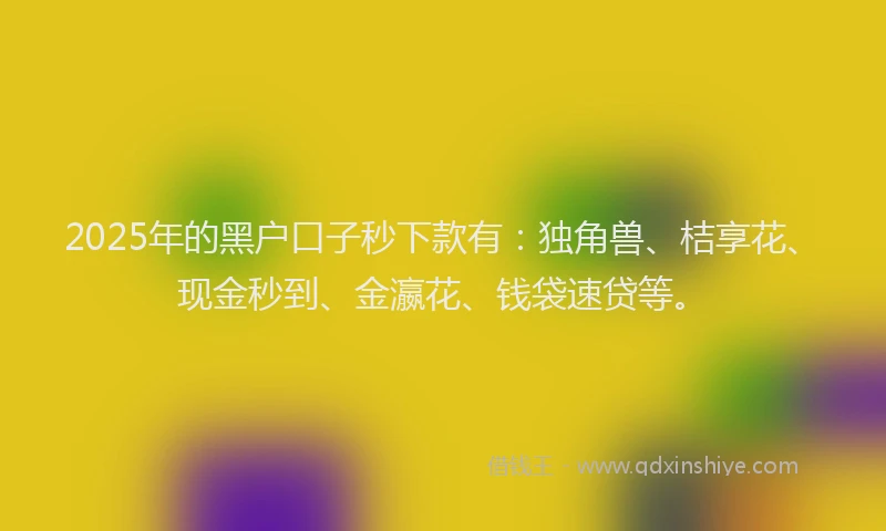 2025年的黑户口子秒下款有：独角兽、桔享花、现金秒到、金瀛花、钱袋速贷等。