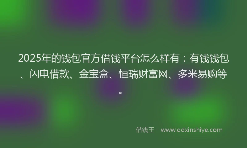 2025年的钱包官方借钱平台怎么样有：有钱钱包、闪电借款、金宝盒、恒瑞财富网、多米易购等。
