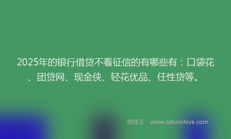 2025年的银行借贷不看征信的有哪些有：口袋花、团贷网、现金侠、轻花优品、任性贷等。