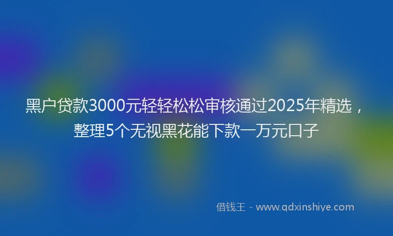 黑户贷款3000元轻轻松松审核通过2025年精选，整理5个无视黑花能下款一万元口子