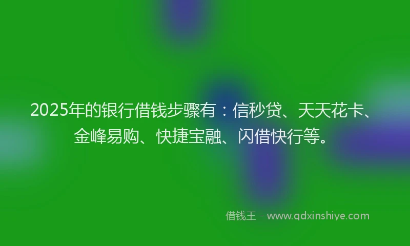 2025年的银行借钱步骤有：信秒贷、天天花卡、金峰易购、快捷宝融、闪借快行等。