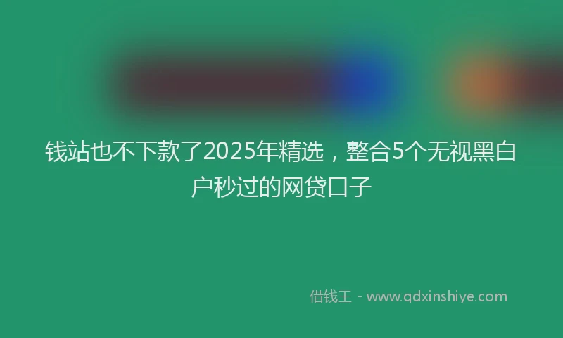 钱站也不下款了2025年精选，整合5个无视黑白户秒过的网贷口子