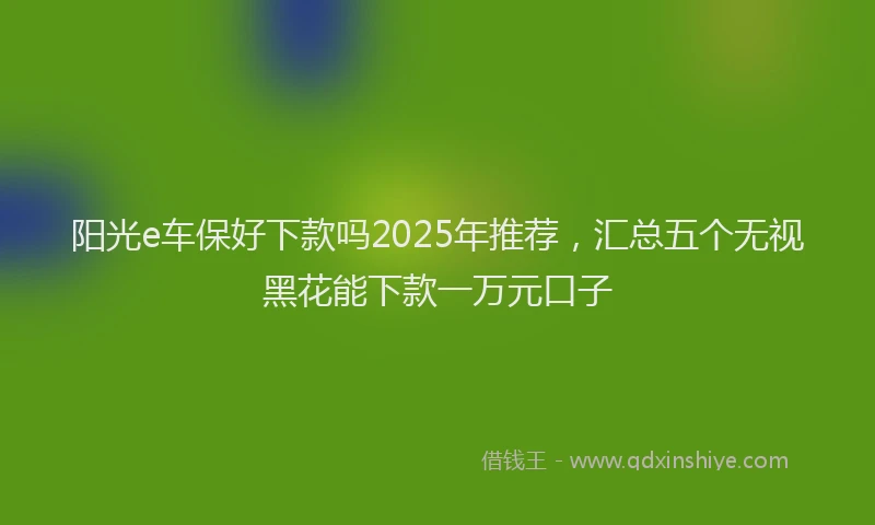 阳光e车保好下款吗2025年推荐，汇总五个无视黑花能下款一万元口子