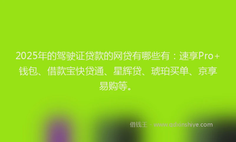 2025年的驾驶证贷款的网贷有哪些有：速享Pro+钱包、借款宝快贷通、星辉贷、琥珀买单、京享易购等。