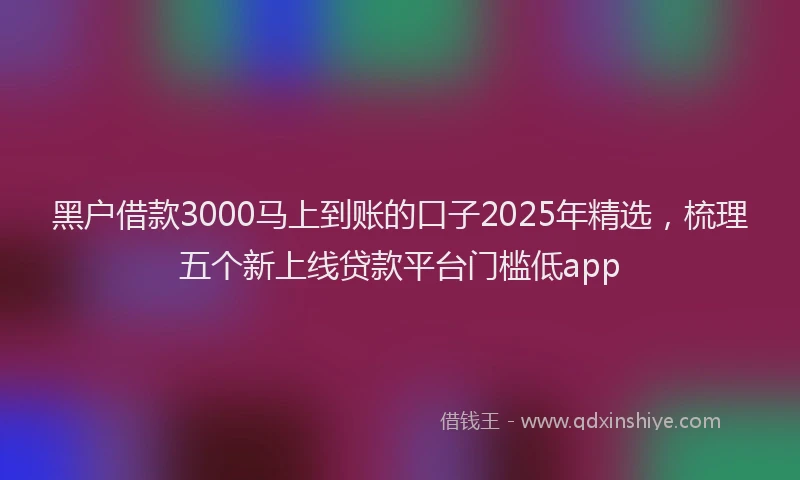 黑户借款3000马上到账的口子2025年精选，梳理五个新上线贷款平台门槛低app