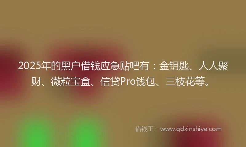 2025年的黑户借钱应急贴吧有：金钥匙、人人聚财、微粒宝盒、信贷Pro钱包、三枝花等。