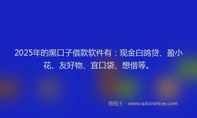 2025年的黑口子借款软件有：现金白鸽贷、盈小花、友好物、宜口袋、想借等。
