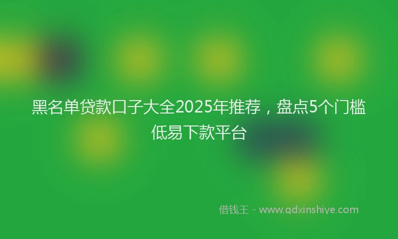 黑名单贷款口子大全2025年推荐，盘点5个门槛低易下款平台