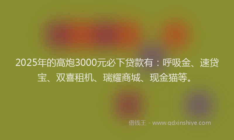 2025年的高炮3000元必下贷款有：呼吸金、速贷宝、双喜租机、瑞耀商城、现金猫等。