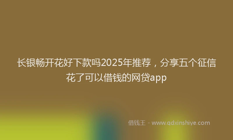 长银畅开花好下款吗2025年推荐，分享五个征信花了可以借钱的网贷app