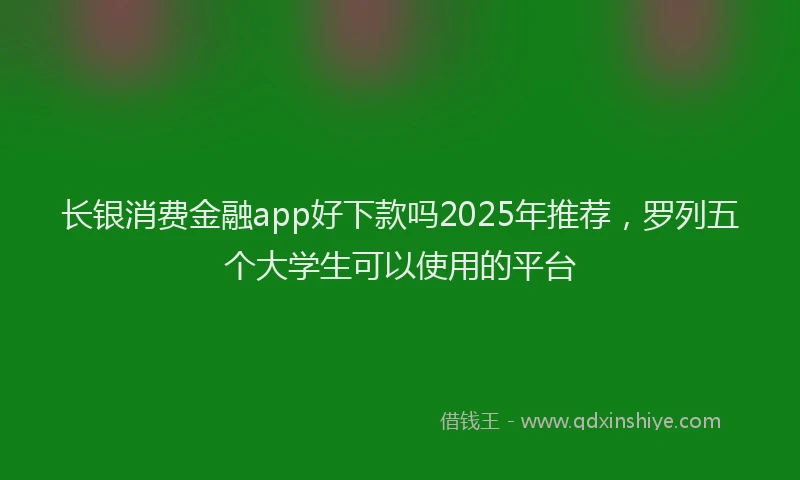 长银消费金融app好下款吗2025年推荐，罗列五个大学生可以使用的平台