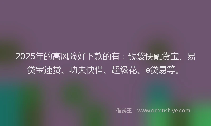 2025年的高风险好下款的有：钱袋快融贷宝、易贷宝速贷、功夫快借、超级花、e贷易等。
