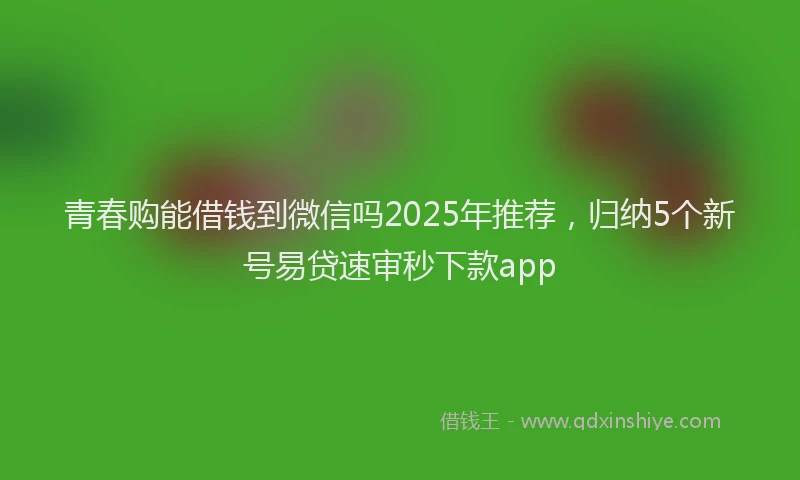 青春购能借钱到微信吗2025年推荐，归纳5个新号易贷速审秒下款app