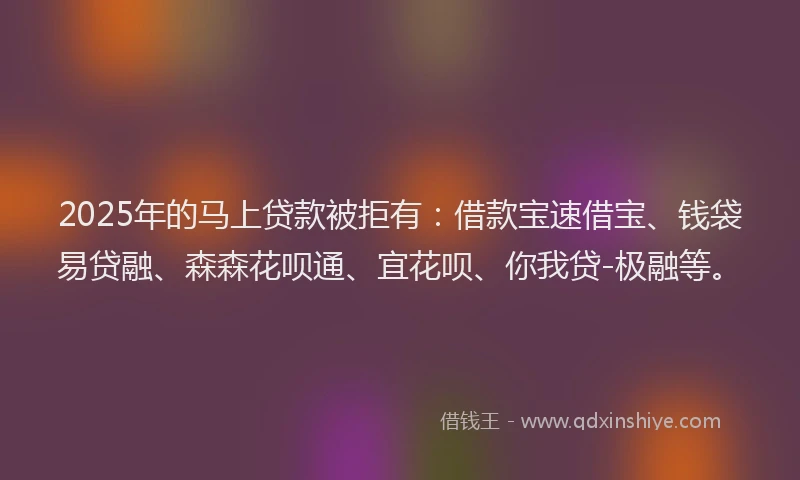 2025年的马上贷款被拒有：借款宝速借宝、钱袋易贷融、森森花呗通、宜花呗、你我贷-极融等。