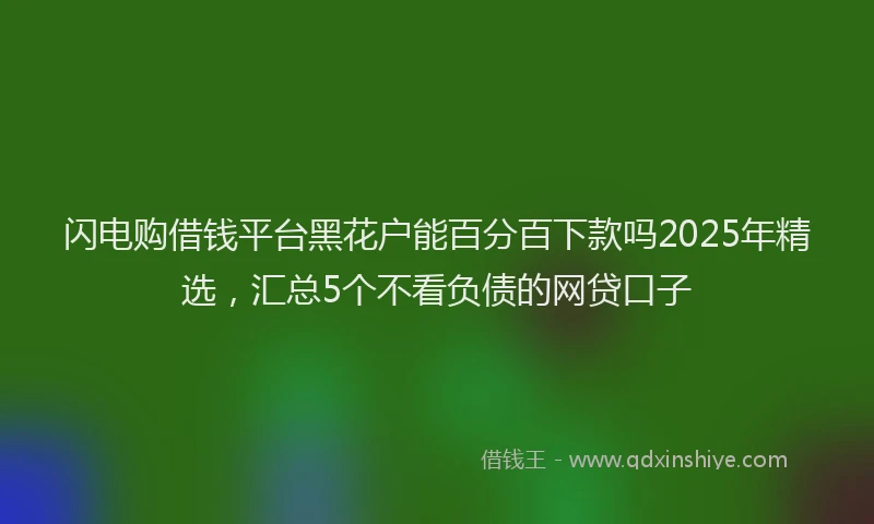 闪电购借钱平台黑花户能百分百下款吗2025年精选，汇总5个不看负债的网贷口子