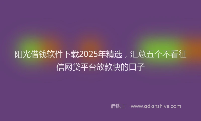 阳光借钱软件下载2025年精选，汇总五个不看征信网贷平台放款快的口子
