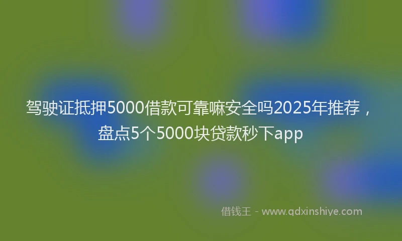 驾驶证抵押5000借款可靠嘛安全吗2025年推荐，盘点5个5000块贷款秒下app