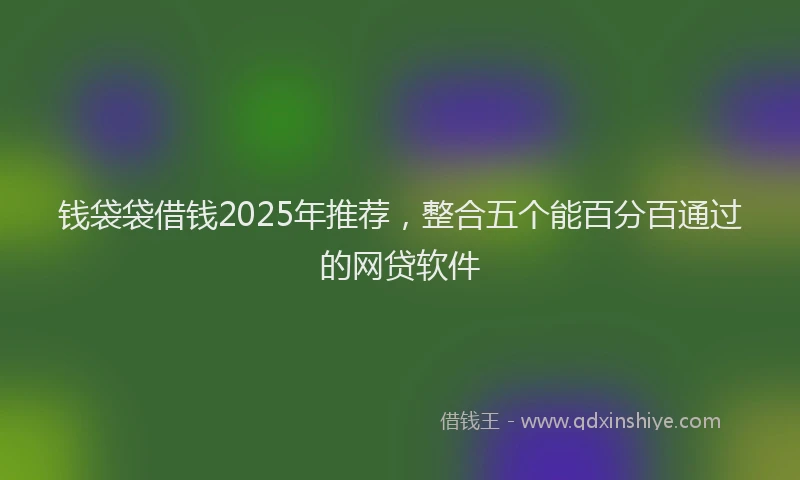 钱袋袋借钱2025年推荐，整合五个能百分百通过的网贷软件