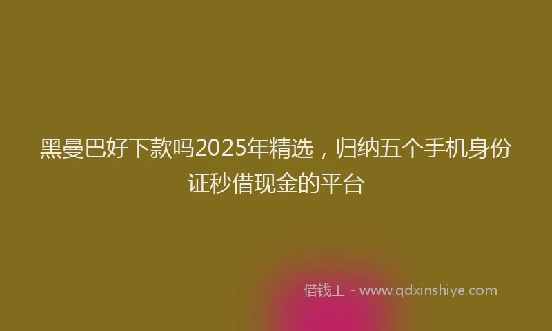 黑曼巴好下款吗2025年精选，归纳五个手机身份证秒借现金的平台