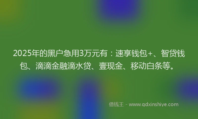 2025年的黑户急用3万元有：速享钱包+、智贷钱包、滴滴金融滴水贷、壹现金、移动白条等。