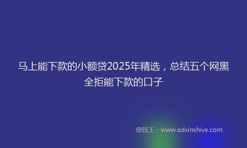 马上能下款的小额贷2025年精选，总结五个网黑全拒能下款的口子