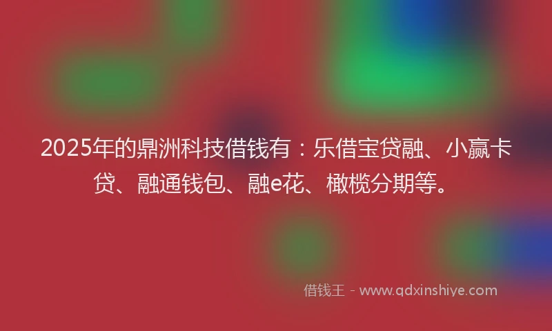 2025年的鼎洲科技借钱有：乐借宝贷融、小赢卡贷、融通钱包、融e花、橄榄分期等。